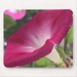 Ruby Red Morning Glory Close-up  Mousepad