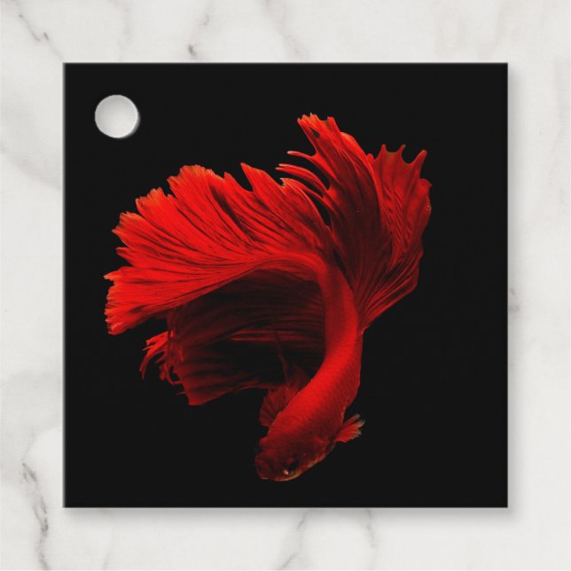 Ruby Red Siamese Fighting Fish Geschenkanhänger (Vorderseite)