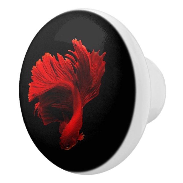 Ruby Red Siamese Fighting Fish Keramikknauf (Rechts)