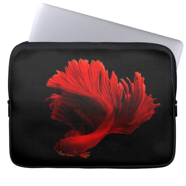 Ruby Red Siamese Fighting Fish Laptopschutzhülle (Vorderseite)