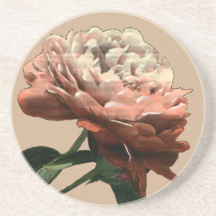 Ruby-Rote Rose mit weißen Akzenten Getränkeuntersetzer