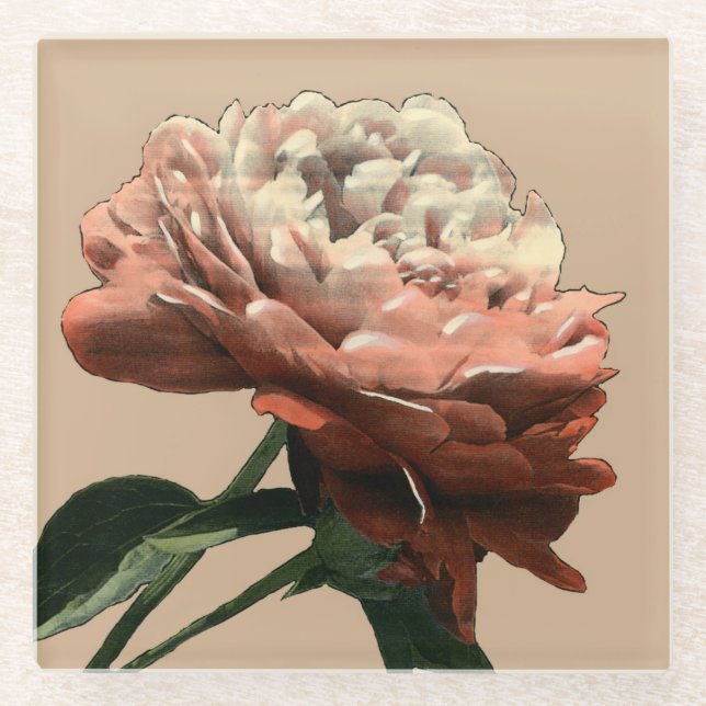 Ruby-Rote Rose mit weißen Akzenten Glasuntersetzer (Vorderseite)