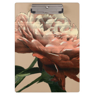 Ruby-Rote Rose mit weißen Akzenten Klemmbrett