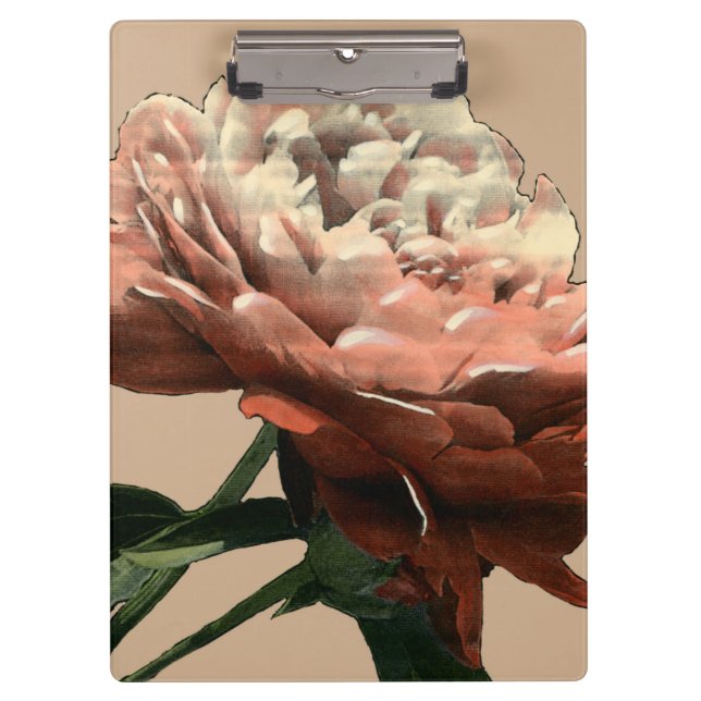 Ruby-Rote Rose mit weißen Akzenten Klemmbrett (Vorderseite)