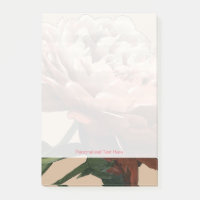 Ruby-Rote Rose mit weißen Akzenten