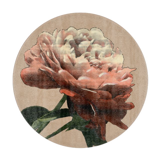 Ruby-Rote Rose mit weißen Akzenten Schneidebrett (Vorderseite)