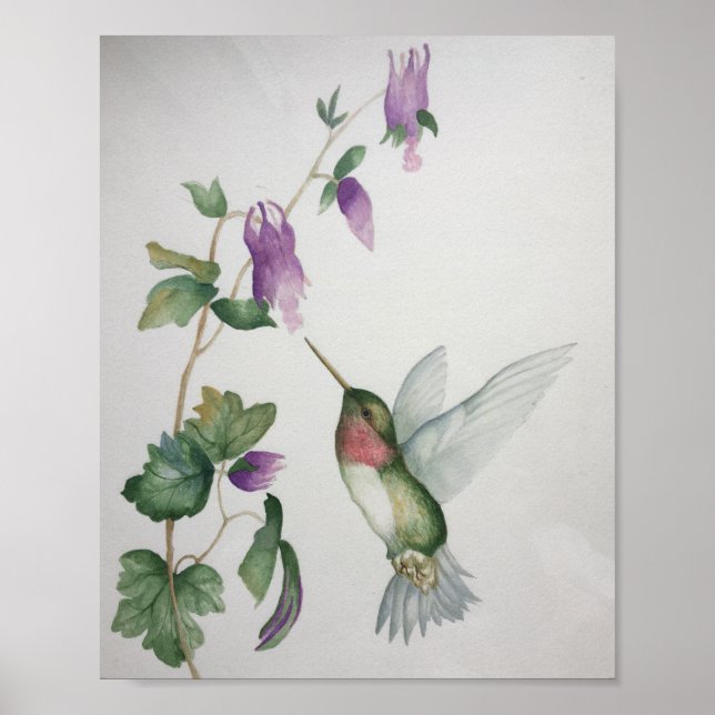 Ruby=throasted Hummingbird Garden Fuchsia Poster (Vorne)