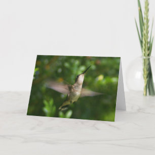Ruby Throat Hummingbird Card Karte