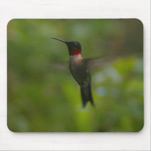 Ruby Throat Hummingbird Mousepad