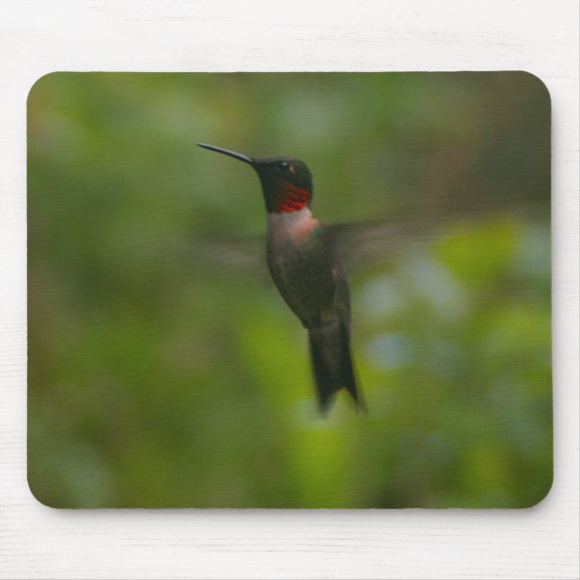 Ruby Throat Hummingbird Mousepad (Vorne)