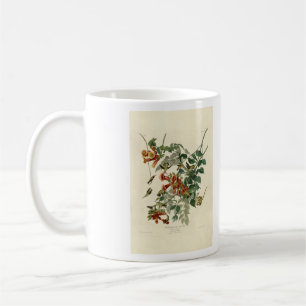 Ruby-throated Humming Bird, Audubon Birds America Kaffeetasse
