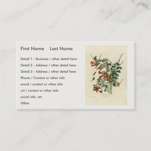 Ruby-throated Humming Bird, Audubon Birds America Visitenkarte (Vorderseite)