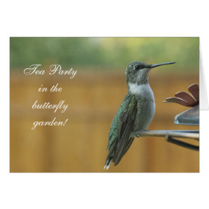 Ruby Throated Hummingbird