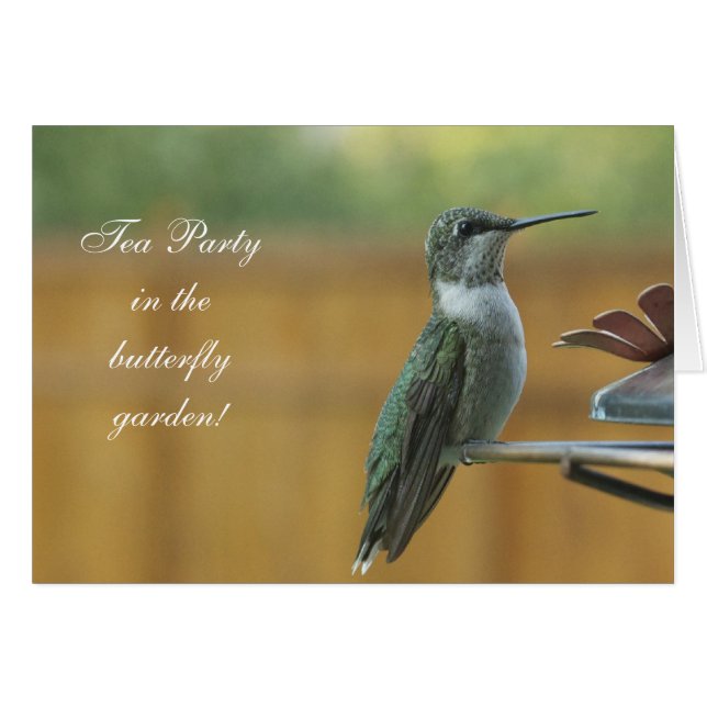 Ruby Throated Hummingbird (Vorderseite (Horizontal))