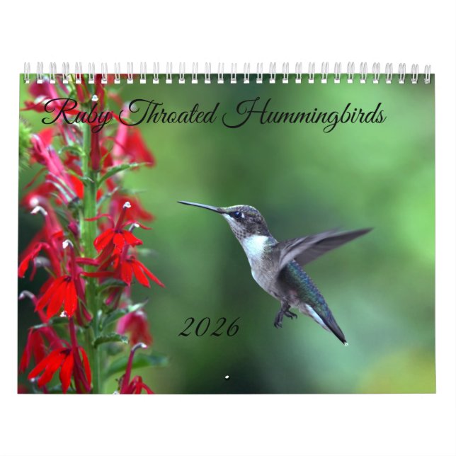 Ruby Throated Hummingbird 2026  Calendar Kalender (Titelbild)