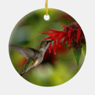 Ruby-Throated Hummingbird Archilochus Colubris Keramikornament