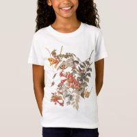 Ruby Throated Hummingbird Audubon Plate 47