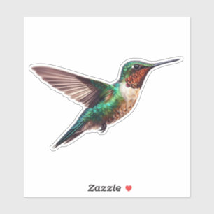 Ruby Throated Hummingbird Aufkleber