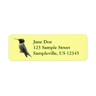 Ruby-Throated Hummingbird Bird Fotografy