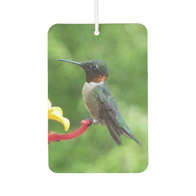 Ruby-Throated Hummingbird Bird Fotografy Autolufterfrischer (Vorderseite)