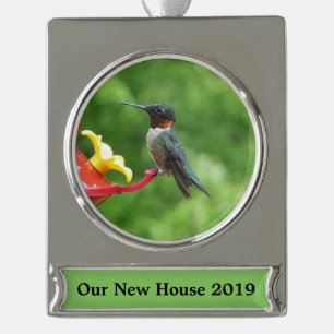 Ruby-Throated Hummingbird Bird Fotografy Banner-Ornament Silber