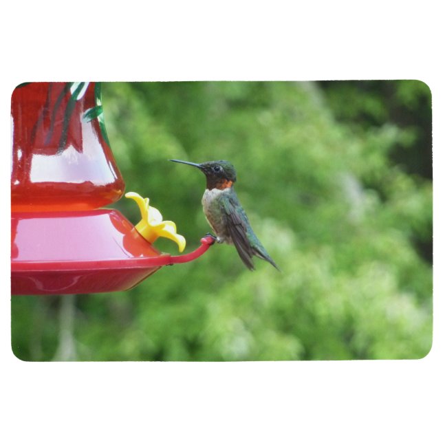Ruby-Throated Hummingbird Bird Fotografy Bodenmatte (Vorderseite)