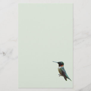 Ruby-Throated Hummingbird Bird Fotografy Briefpapier