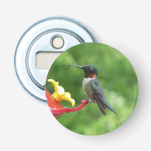 Ruby-Throated Hummingbird Bird Fotografy Flaschenöffner