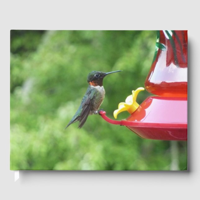 Ruby-Throated Hummingbird Bird Fotografy Gästebuch (Vorderseite)