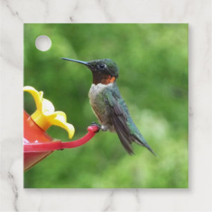 Ruby-Throated Hummingbird Bird Fotografy Geschenkanhänger