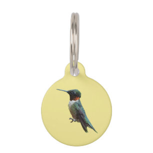 Ruby-Throated Hummingbird Bird Fotografy Haustiermarke