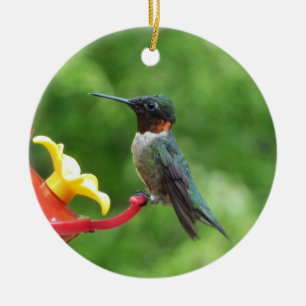 Ruby-Throated Hummingbird Bird Fotografy Keramikornament