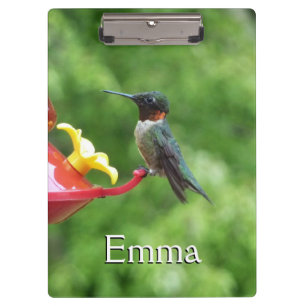 Ruby-Throated Hummingbird Bird Fotografy Klemmbrett