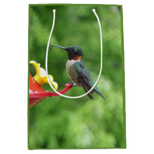 Ruby-Throated Hummingbird Bird Fotografy Mittlere Geschenktüte