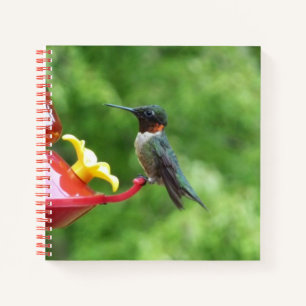 Ruby-Throated Hummingbird Bird Fotografy Notizbuch
