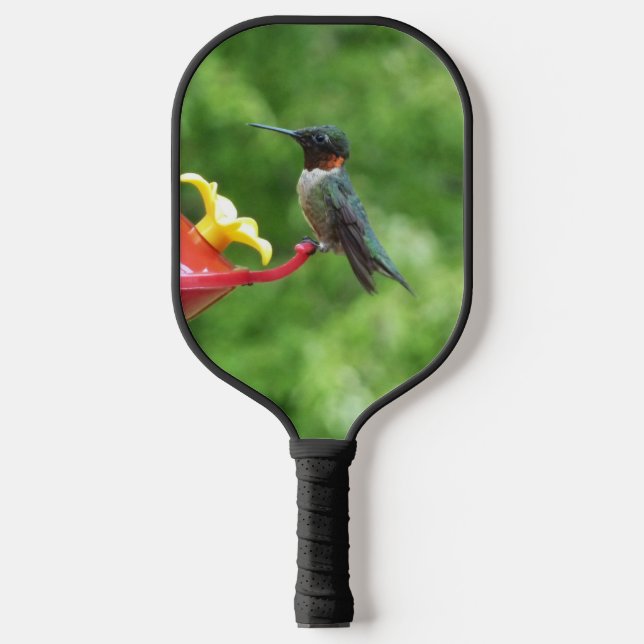 Ruby-Throated Hummingbird Bird Fotografy Pickleball Schläger (Vorderseite)