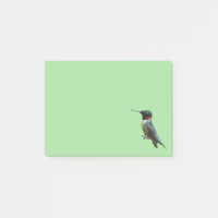 Ruby-Throated Hummingbird Bird Fotografy