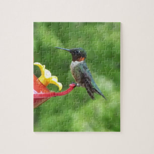 Ruby-Throated Hummingbird Bird Fotografy Puzzle