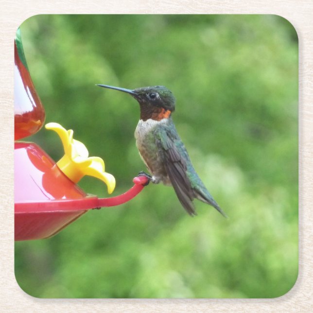 Ruby-Throated Hummingbird Bird Fotografy Rechteckiger Pappuntersetzer (Vorderseite)