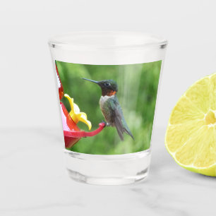 Ruby-Throated Hummingbird Bird Fotografy Schnapsglas