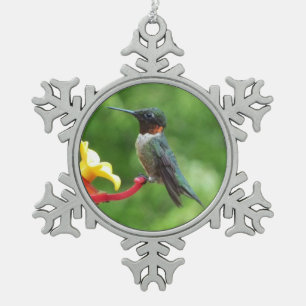 Ruby-Throated Hummingbird Bird Fotografy Schneeflocken Zinn-Ornament