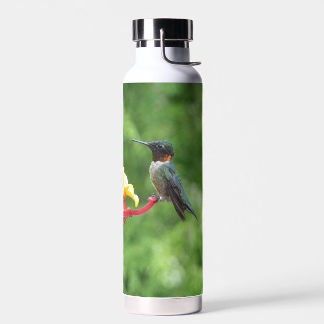 Ruby-Throated Hummingbird Bird Fotografy Trinkflasche (Links)