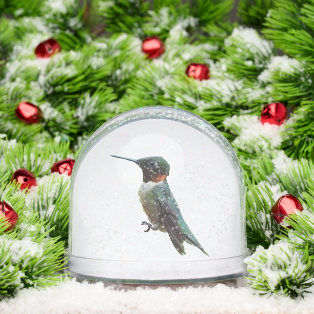 Ruby-Throated Hummingbird Bird Photography Schneekugeln (Weihnachten)