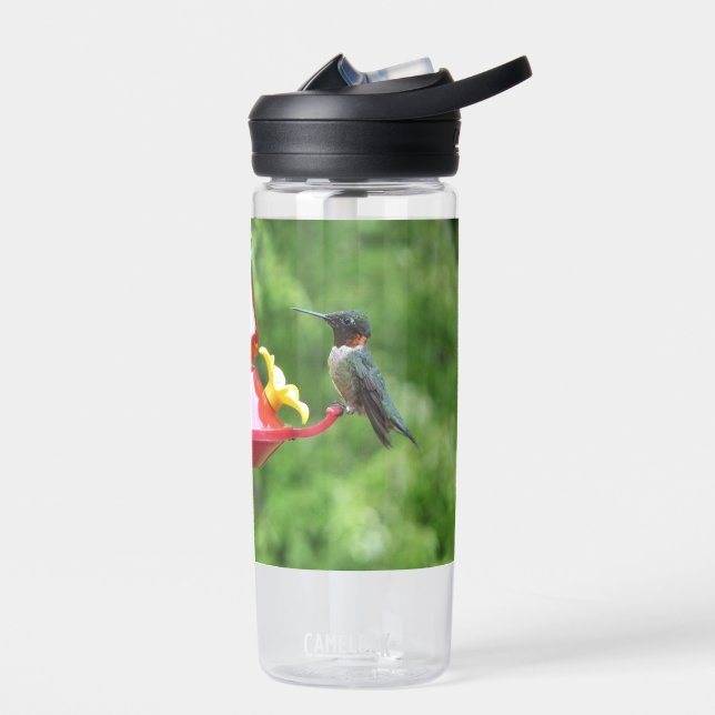 Ruby-Throated Hummingbird Bird Photography Trinkflasche (Links)