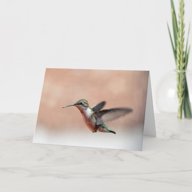 Ruby Throated Hummingbird Blank Note Card Karte (Vorderseite)