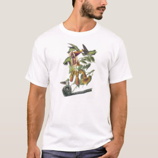 Ruby-throated Hummingbird by Audubon T-Shirt
