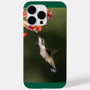 Ruby-Throated Hummingbird Case-Mate iPhone 14 Pro Max Hülle