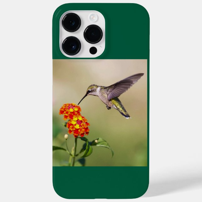 Ruby-Throated Hummingbird Case-Mate iPhone Hülle (Rückseite)