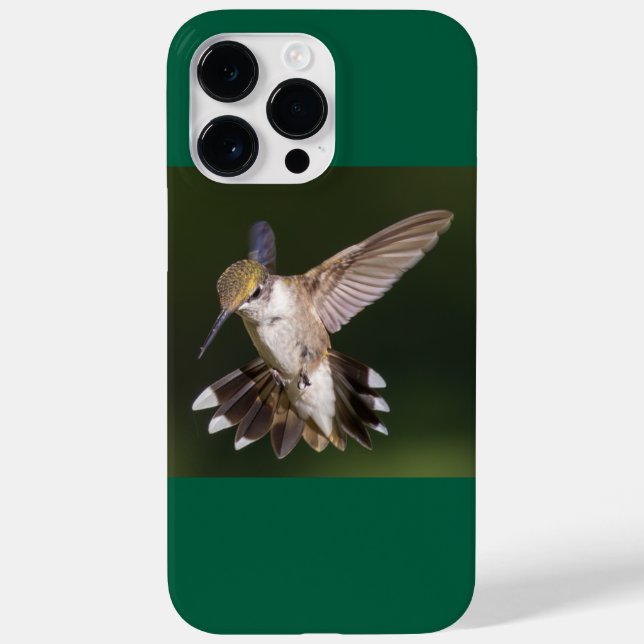 Ruby-Throated Hummingbird Case-Mate iPhone Hülle (Rückseite)