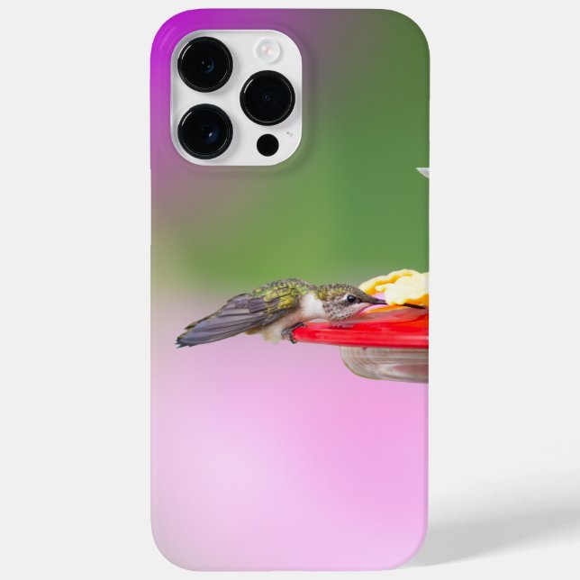 Ruby-Throated Hummingbird Case-Mate iPhone Hülle (Rückseite)